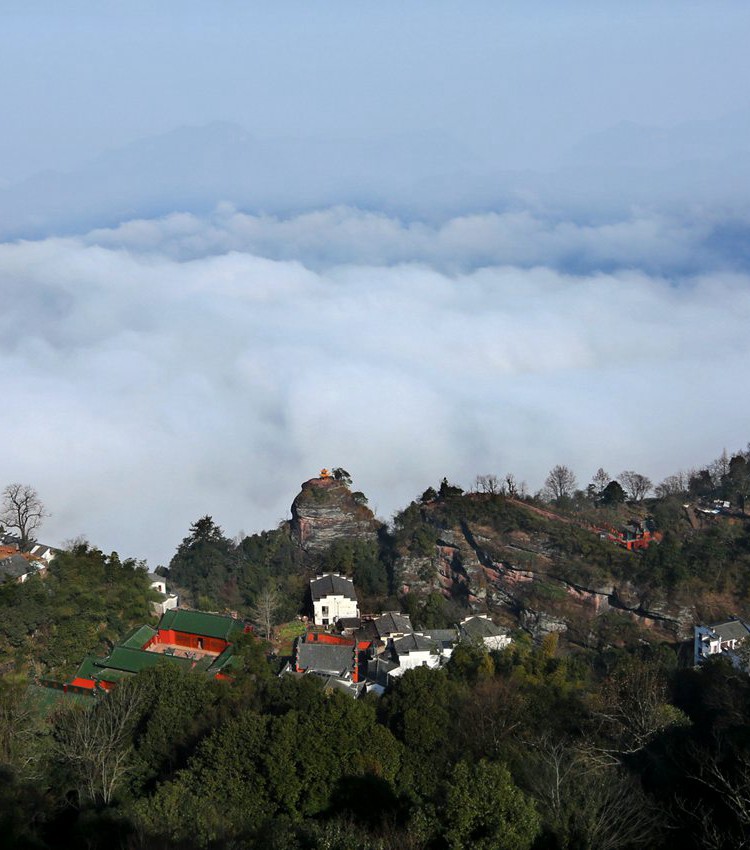 利来w66(中国区)_来利国际旗舰