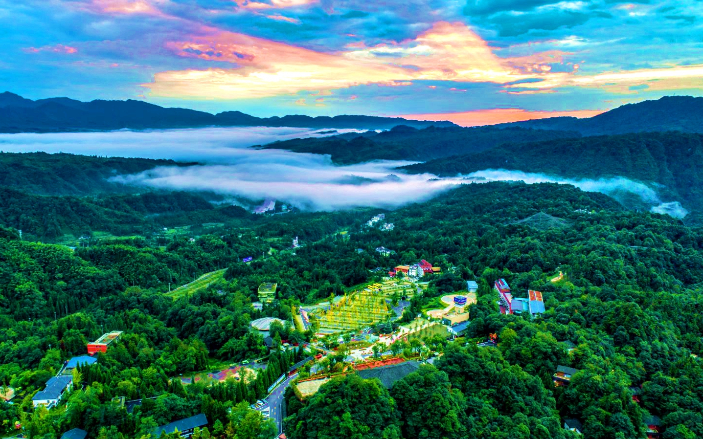 利来w66(中国区)_来利国际旗舰