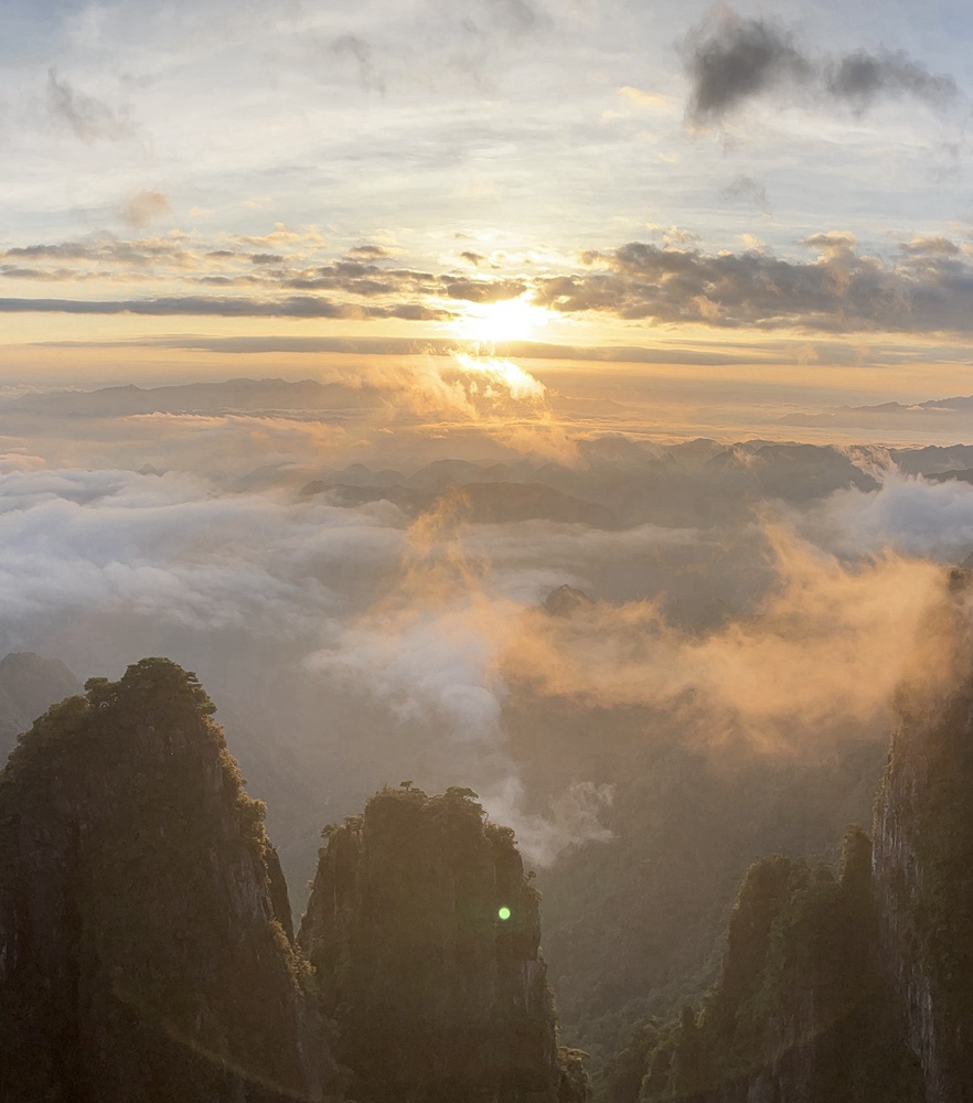 利来w66(中国区)_来利国际旗舰