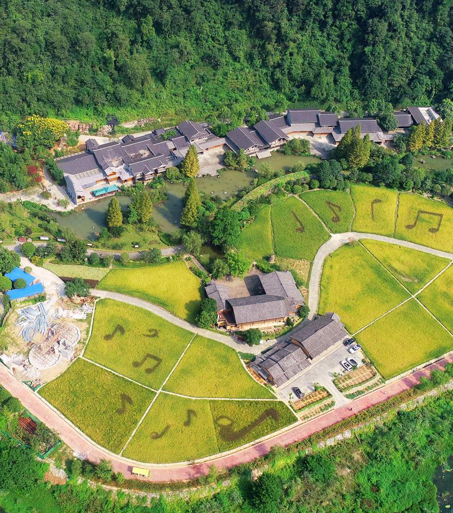 利来w66(中国区)_来利国际旗舰