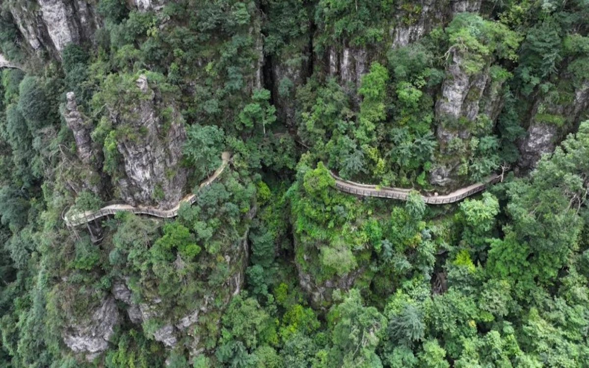 利来w66(中国区)_来利国际旗舰